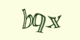 Защитный код