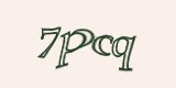 Защитный код