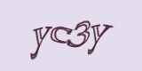 Защитный код