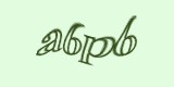 Защитный код