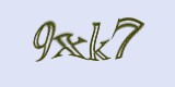 Защитный код