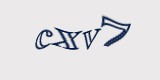 Защитный код