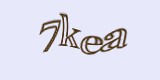 Защитный код