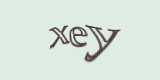 Защитный код