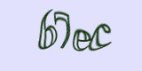 Защитный код
