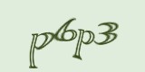 Защитный код
