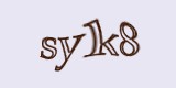 Защитный код