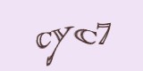 Защитный код