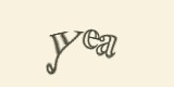 Защитный код