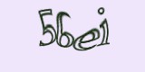 Защитный код