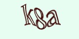 Защитный код