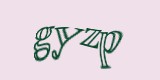 Защитный код