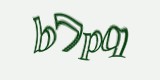 Защитный код