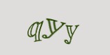 Защитный код