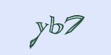 Защитный код