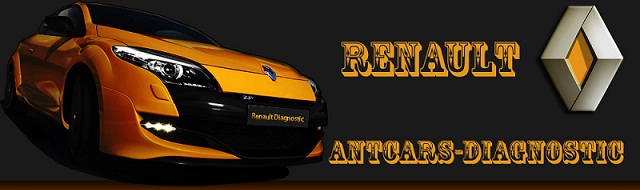 AntCars Diagnostic